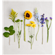 191119_alt2